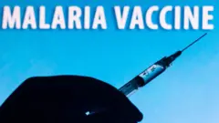 मलेरिया