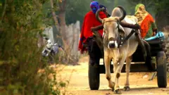 ગુજરાતમાં કોરોના