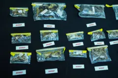 valizde bulunan örnekler