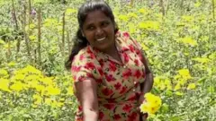 கொரோனா வைரஸ்: இலங்கையில் பெரும் பாதிப்பை சந்தித்துள்ள பூ, மரக்கறி செய்கைகள்