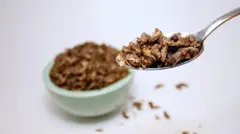 Cuchara llena de insectos