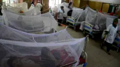 হাসপাতালের ওয়ার্ডগুলো ডেঙ্গু রোগীতে বোঝাই হয়ে গেছে।