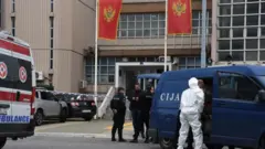 Uviđaj