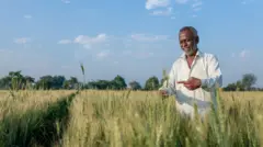 प्रातिनिधिक फोटो