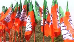 बीजेपी