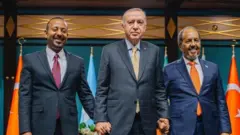 MM Abiy Ahimad, Pireezidant Taayip Erdohaaniifi Hasan Sheek Mahaammud 