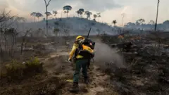 Amazon fires