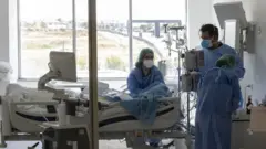 doktor