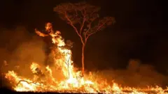 Incêndio na Amazônia, em foto de 2019