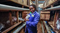 Umugore ukikiye urukwavu