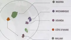 Lors d'une présentation du Département d'État américaine dans le cadre d'une conférence internationale à Rio de Janeiro, un écran a affiché une carte de l'Afrique établie par le gouvernement américain sur laquelle certains pays étaient mal libellés.