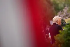 Tổng thống Mỹ Donald Trump 