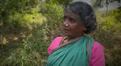 தமிழ்நாடு: 100 நாள் வேலைத் திட்டத்தின் இன்றைய நிலை என்ன? - கள நிலவரம்