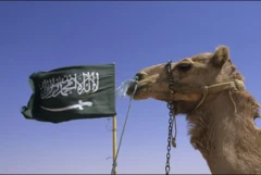 Sacuudiga waxaa ku nool Geel badan