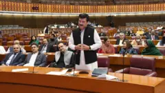 پارلیمنٹ، مشترکہ اجلاس، تحریک انصاف