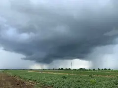 વરસાદ, બીબીસી ન્યૂઝ ગુજરાતી 