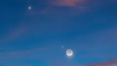 Bara 2019 Jiini, Juuppitarii, Juuppitarii fi Veenosiin walfaana yeroo mul'atan