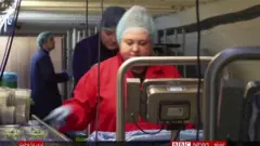 کلېک