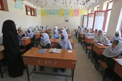 نجونې