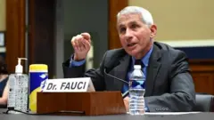 Dr Fauci