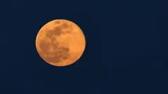 امریکہ