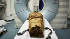 Несямундун мумиясын магниттик-резонанстык томографка салып сканерлешти.