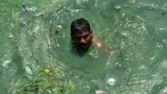 शिभा