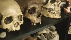 কারা কথা বলেছিল প্রথম?