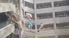 आपल्या मागण्यांसाठी आदिवासी आमदारांनी मंत्रालयाच्या तिसऱ्या मजल्यावरुन जाळीवर उडी मारली.