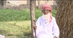 عمر حیات