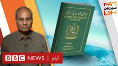 سیربین