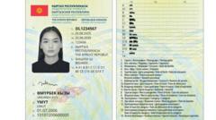 Кыргыз паспортун жана айдоочулук күбөлүгүн чет өлкөдө колдонууда көйгөй болуп жатабы?