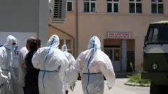 korona virus