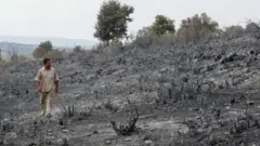 A man looks at burned farmland near Tartous, Syria (11 October 2020)3