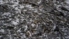 Les ossements d'environ 600 à 800 personnes retrouvés sur le site