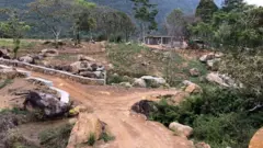 සිංහරාජය