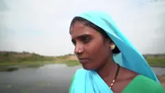 जलसँगी