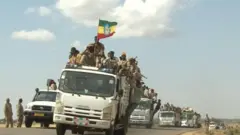 የአማራ ልዩ ኃይሎች ከሽረ እና አካባቢው ሲወጡ