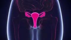 materica, vagina, žene 