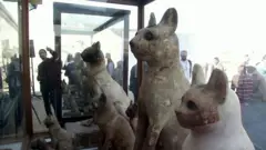 نمایش عمومی حیوانات مومیایی شده مصر باستان برای نخستین بار