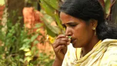 பார்வதி
