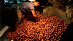 வெங்காயம்