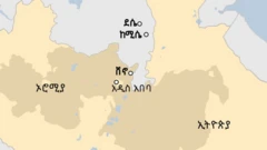 ካርታ