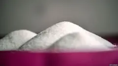 sugar