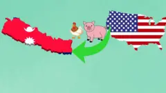 अमेरिका नेपाल व्यापार 