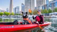 Molly e Toby Heaps andamapostas esportivas portugalcaiaque no Lago Ontário