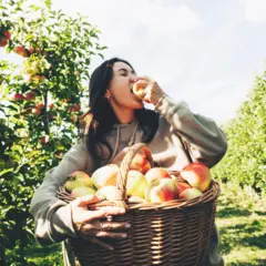 Elma bahçesinde bir kadın bir elinde elma dolu bir sepet tutuyor ve diğer eliyle de bir elmayı ısırıyor