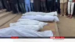 د ارواح ګانو ښارګوټی