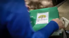 Fichário de Hélio da Silva com informações das árvores que ele plantou