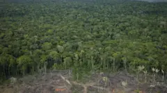 అమెజాన్ అడవి